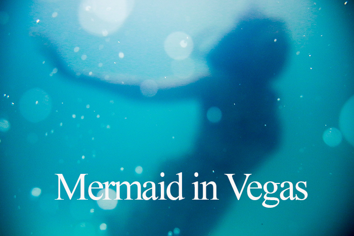 mermaid logo